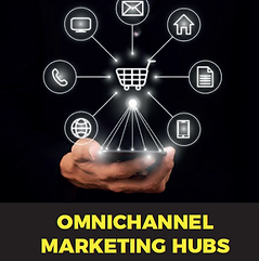 Capítulo: Omnichannel Marketing Hubs
