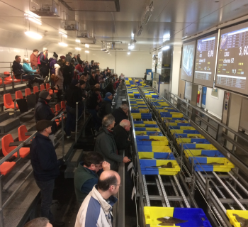 IMG_53265B15D.JPG_8001067